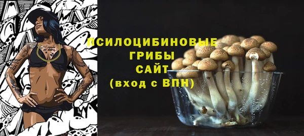 бошки Алексин