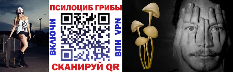 Псилоцибиновые грибы мицелий  Калач-на-Дону 